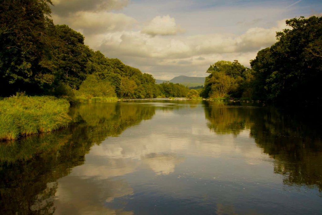 Celebrate a renaissance in English nature writing plus 4 nature books to start with
