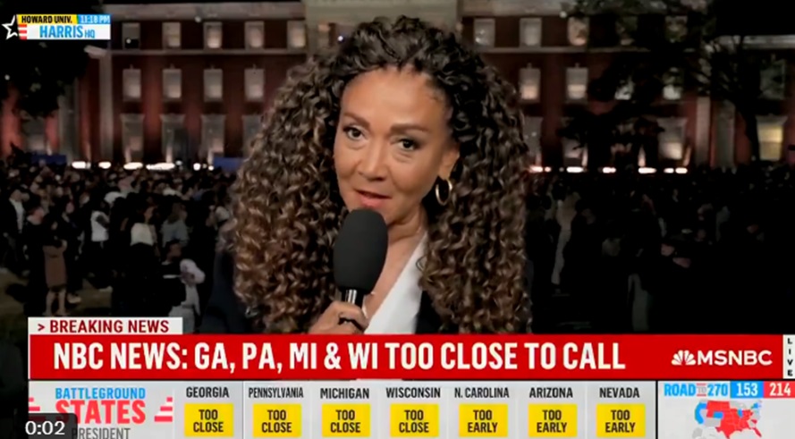 WATCH: MSNBC Reporter Says Crowd at Kamala Harris’s Election Rally is ‘Nauseously Optimistic’ | The Gateway Pundit