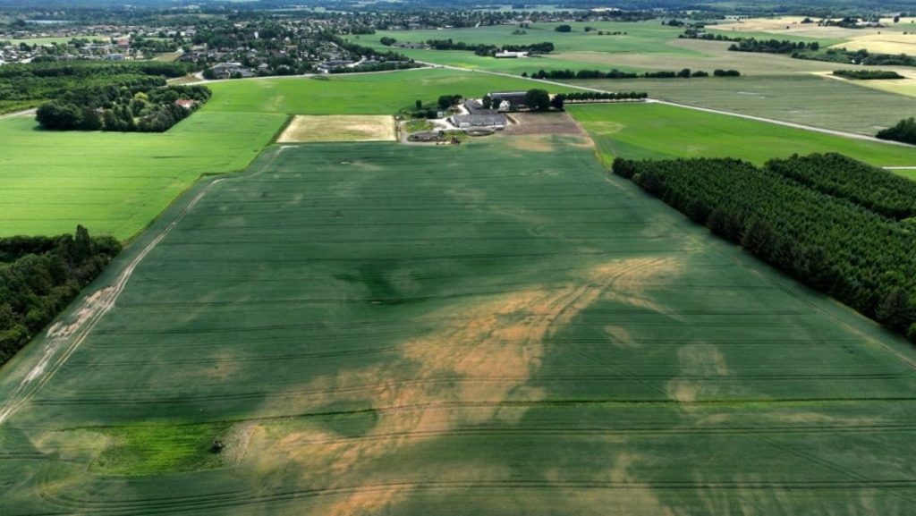 Denmark to convert 15% of farmland to forest to cut fertiliser use