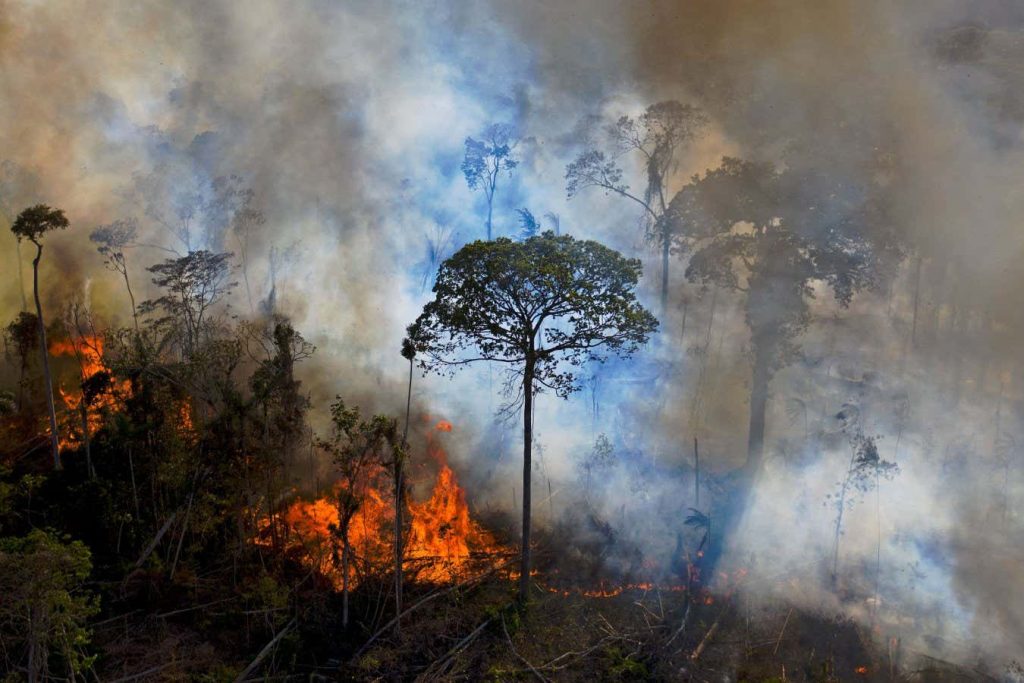 Drought, fires and fossil fuels push CO2 emissions to a record high