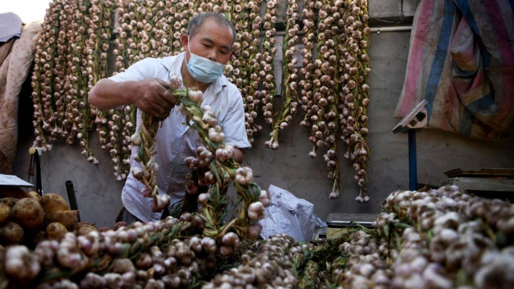 China says US politicians need to be more rational after senator’s call for garlic probe