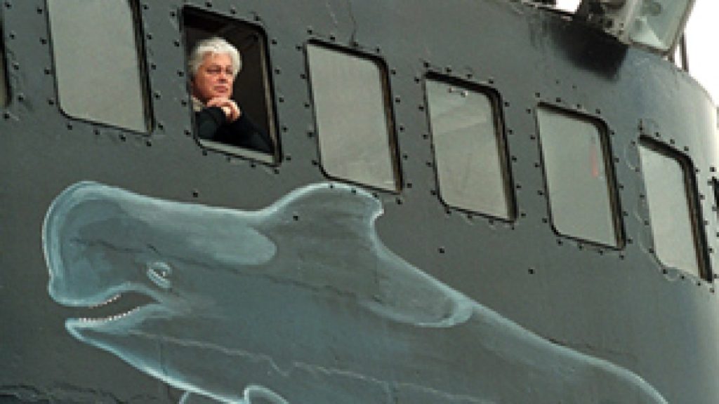 Antiwhaling activist Paul Watson released as Denmark rejects extradition | Environment News