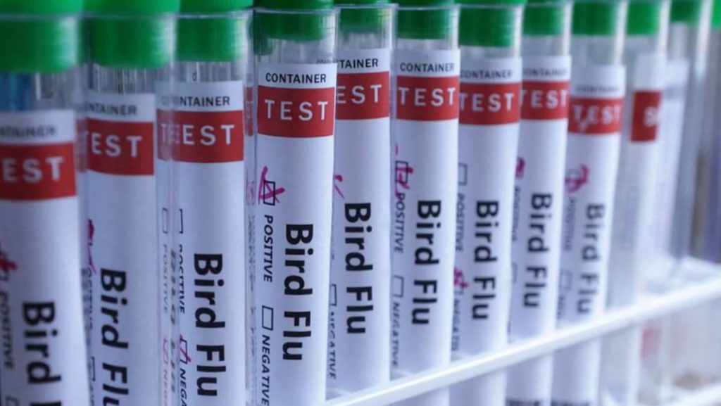 USDA accidentally sacked officials working on bird flu: Reports