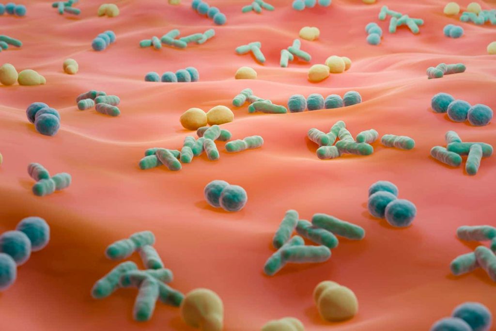 ‘Sexome’ microbes swapped during sex could aid forensic investigations