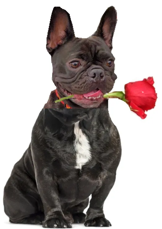 Valentine’s Day in History