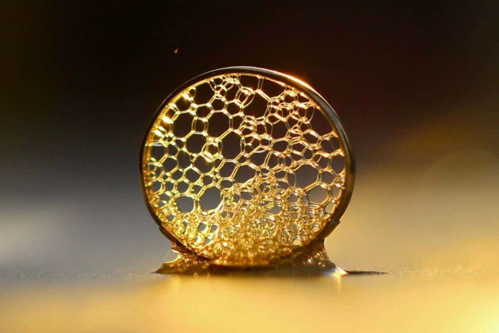 Photography contest spotlights the beauty of science in vivid detail