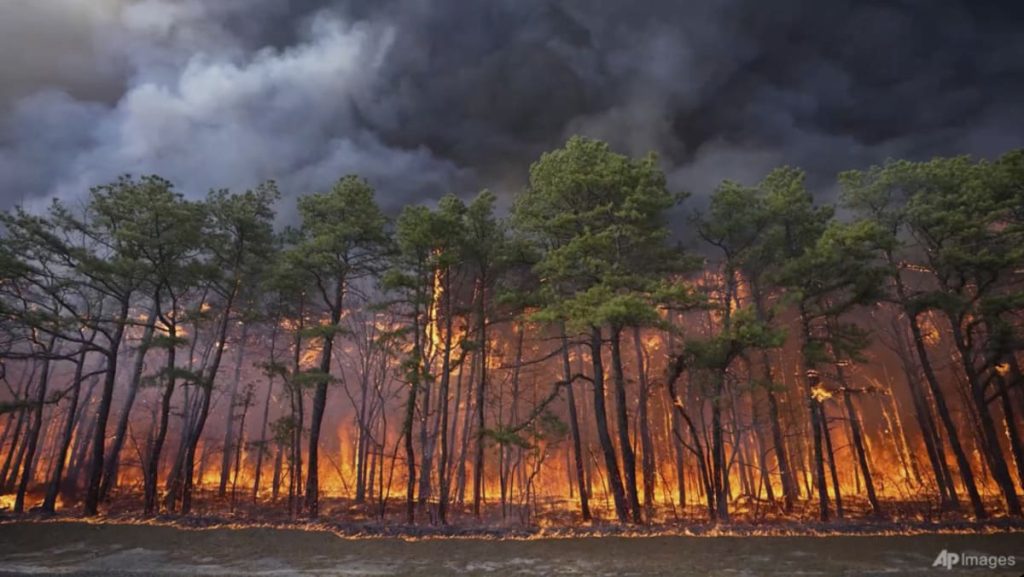 New Jersey wildfire could become state’s largest in nearly 20 years