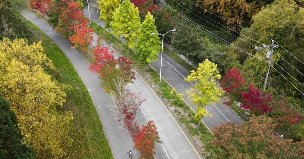 Make South Seattle cool again: Let’s plant 10,000 trees by 2030