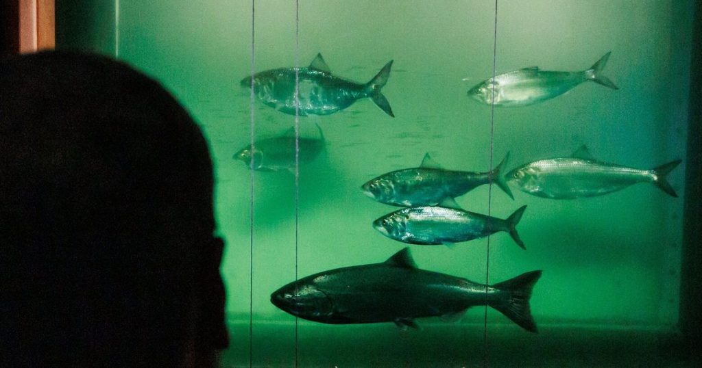 BPA’s approach to salmon deserves credit, not criticism