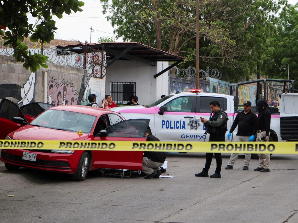 Mexico expels 26 alleged cartel members in latest deal with US | Donald Trump News