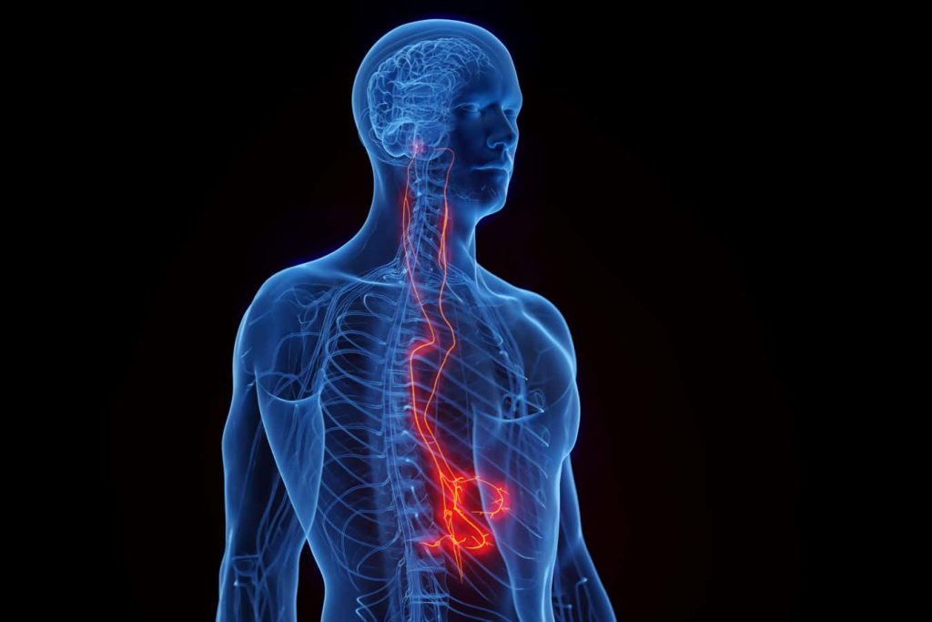 Vagus nerve stimulation receives US approval to treat arthritis