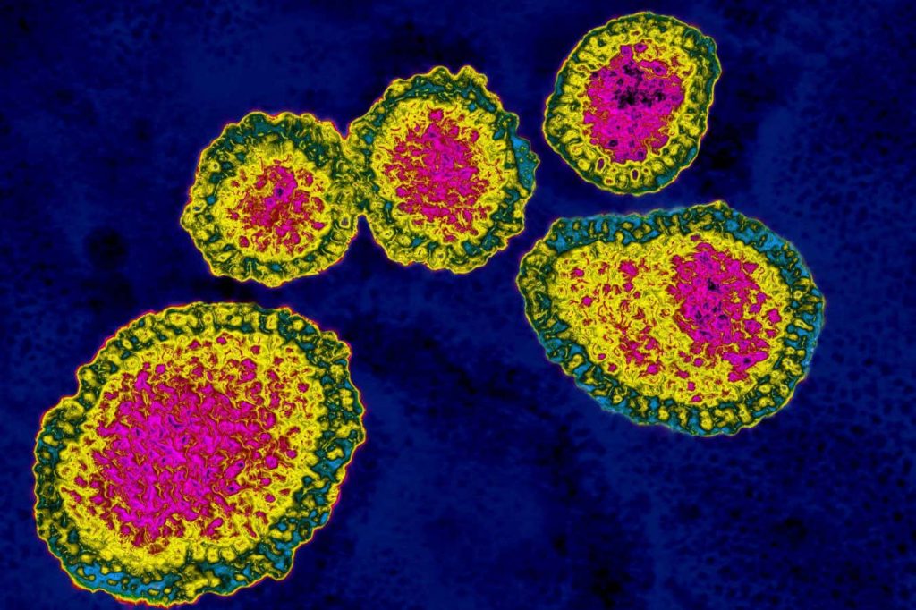 Some viruses like to cheat – and that may be good for our health