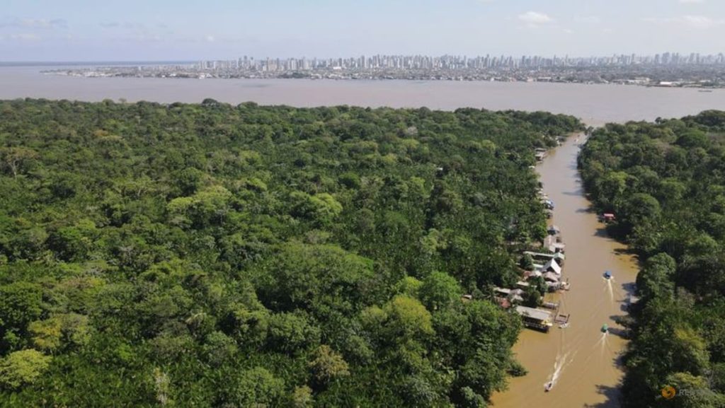 Trees, targets and trillions: What’s on the agenda at COP30?