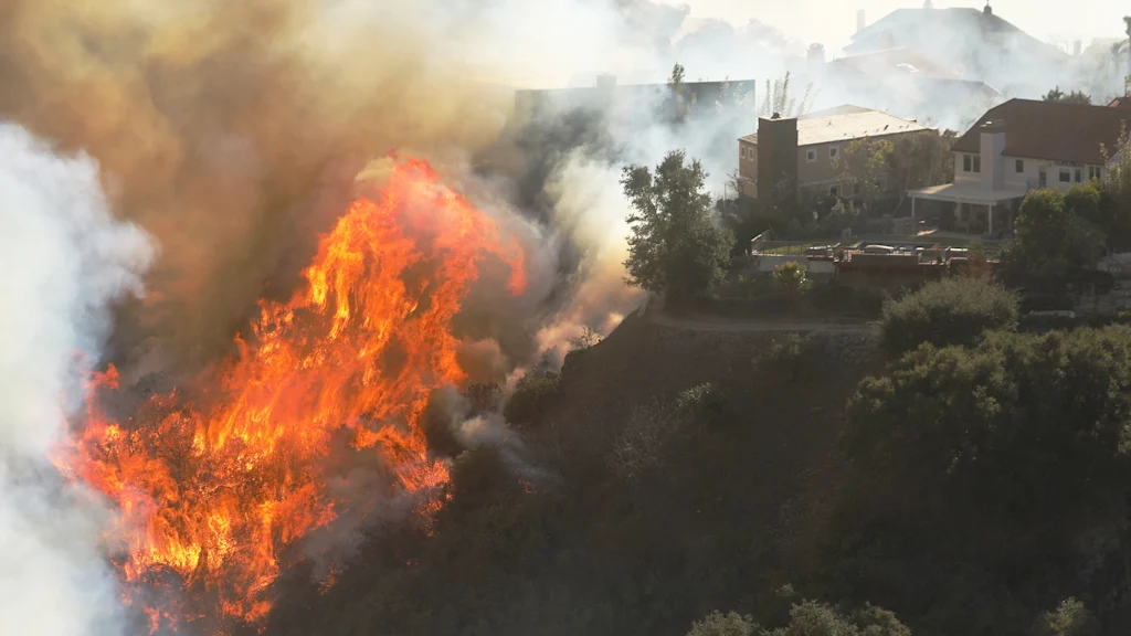 As Los Angeles rebuilds, a fight is brewing over landscaping rules designed to prevent future fires