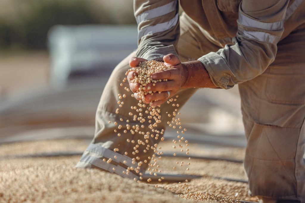 Trump Hints at Pressing China on Soybean Purchases
