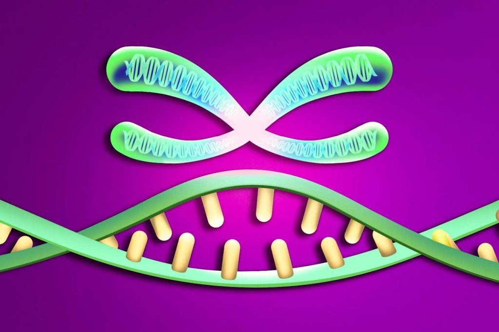 Sperm are selfish – and so are we