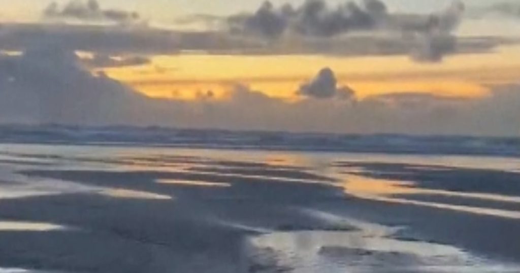Woman saves shark stranded on an Oregon beach