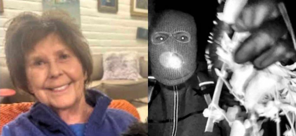 DNA On Black Glove Matches Suspect At Nancy Guthrie’s Home