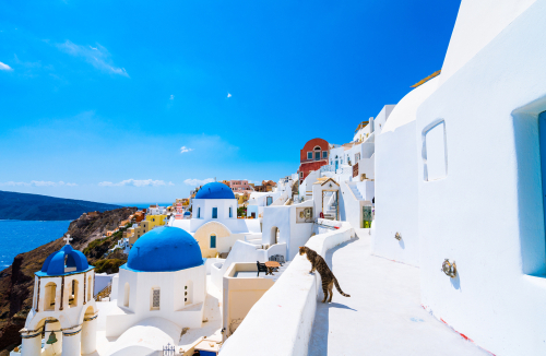 The Euro Devastated Southern Europe And Greece Is Proof