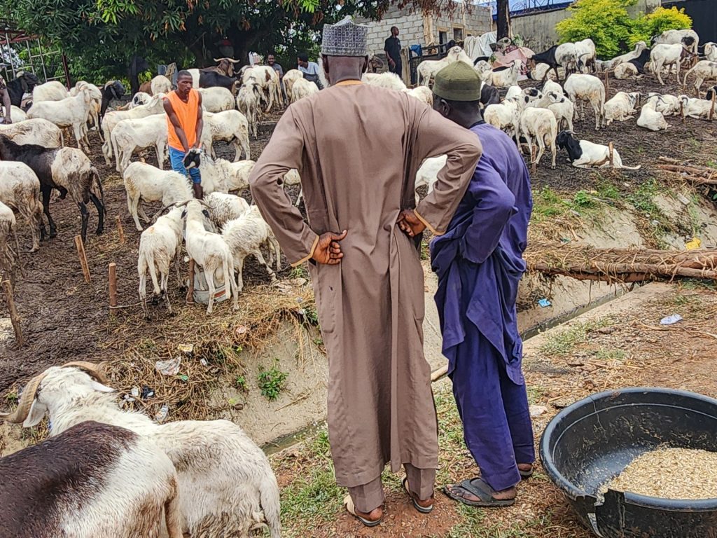 Cost of living crisis reshapes Eid spending in Nigeria | Business and Economy News