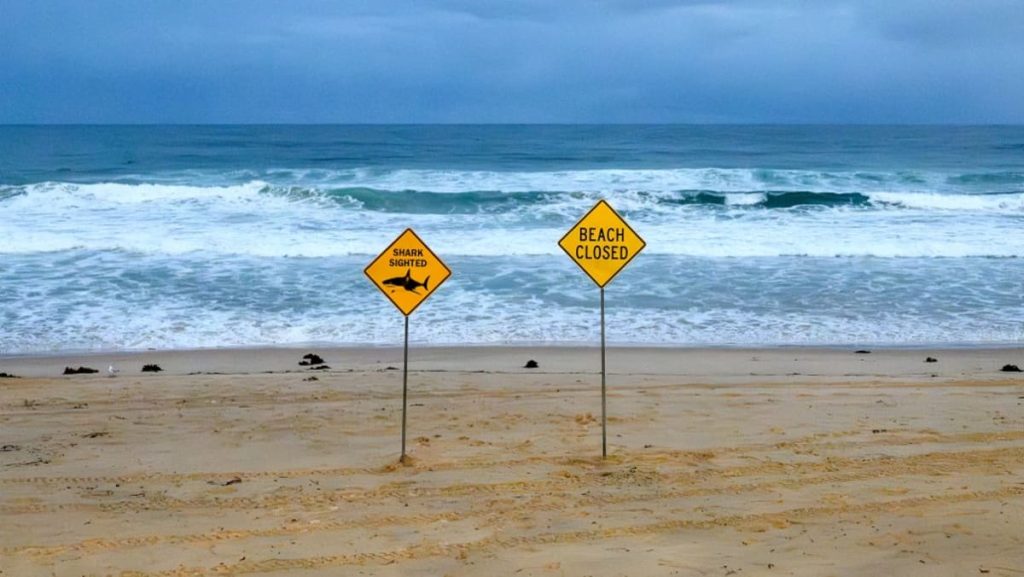 Shark kills diver off Western Australia