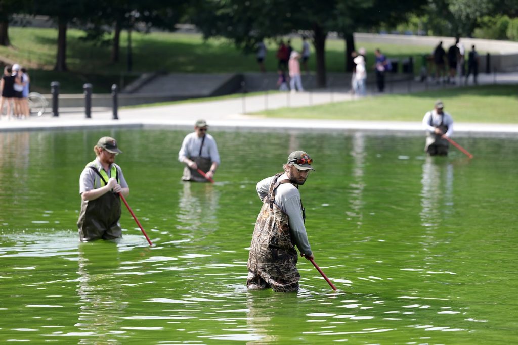 A water treatment expert on what could actually fix the Reflecting Pool