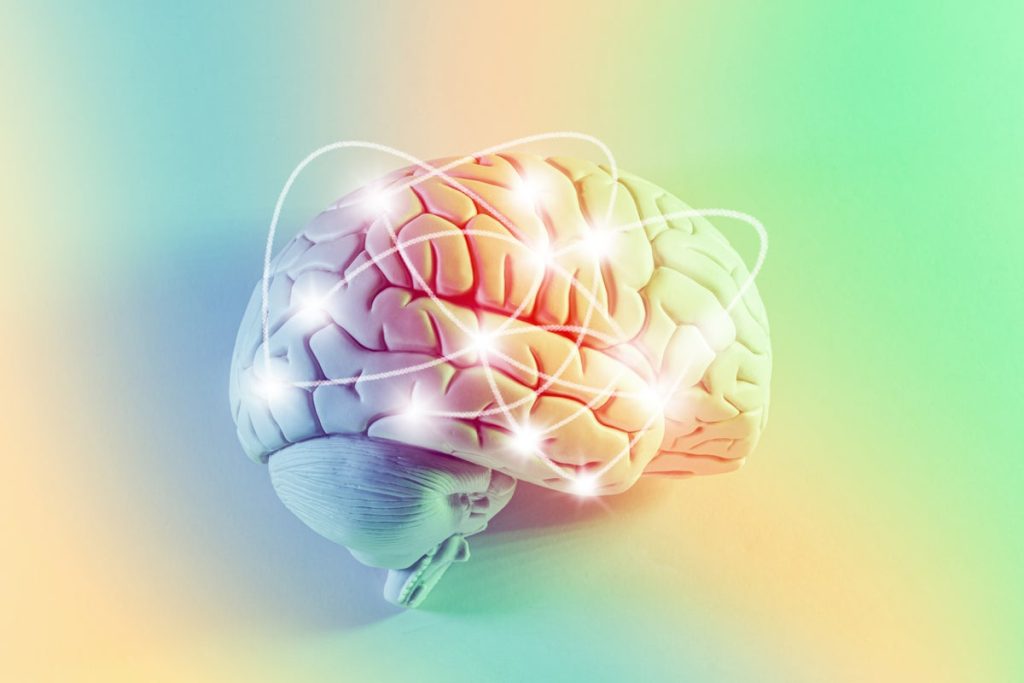 Accidental mix-ups of sounds reveal how the brain produces speech
