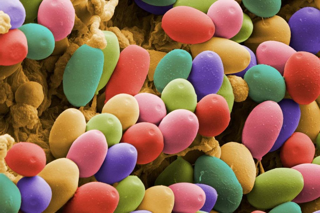 Woman with Alzheimer’s starts conversing again after taking psilocybin