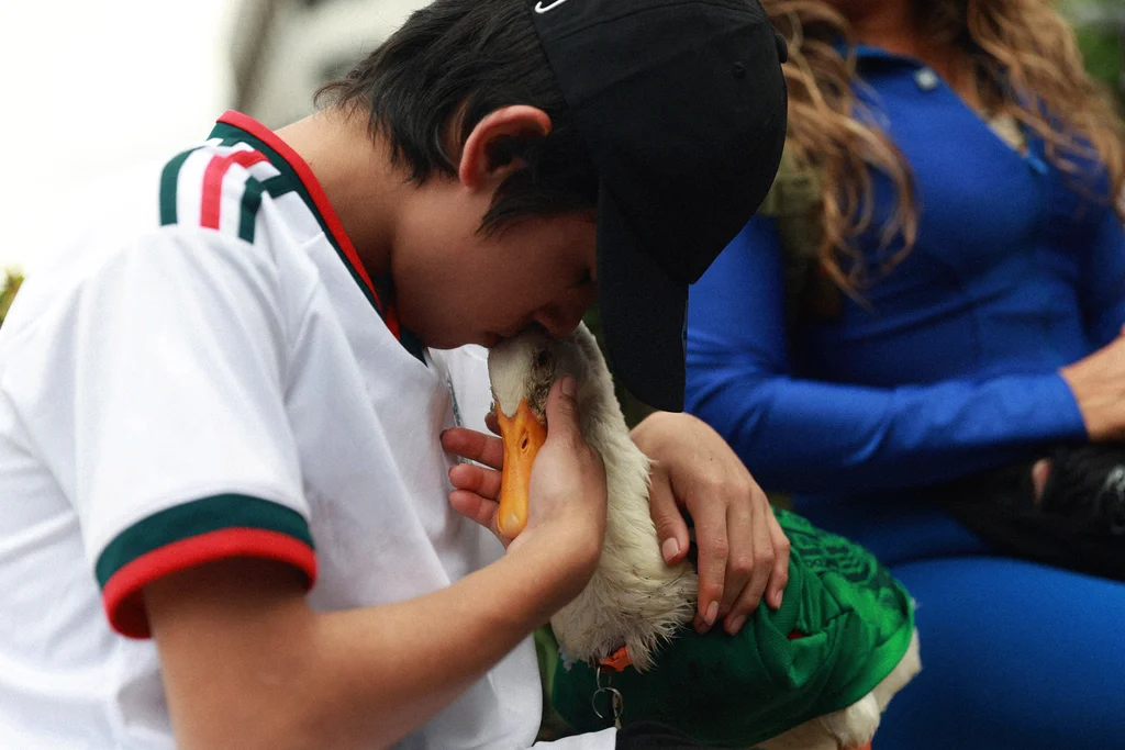 How this street duck became Mexico’s unofficial World Cup mascot