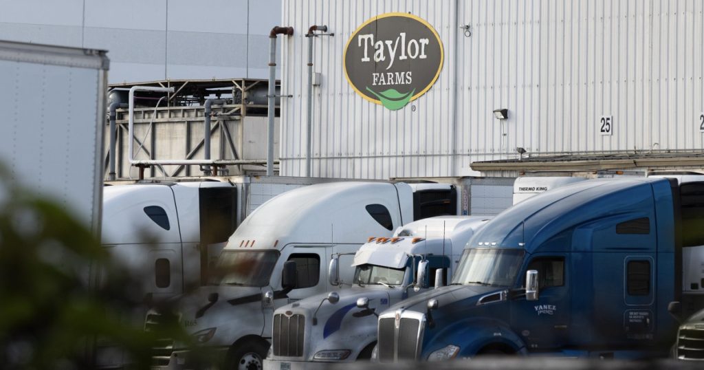FDA says Taylor Farms lettuce sample tested for cyclospora produced false positive for the parasite