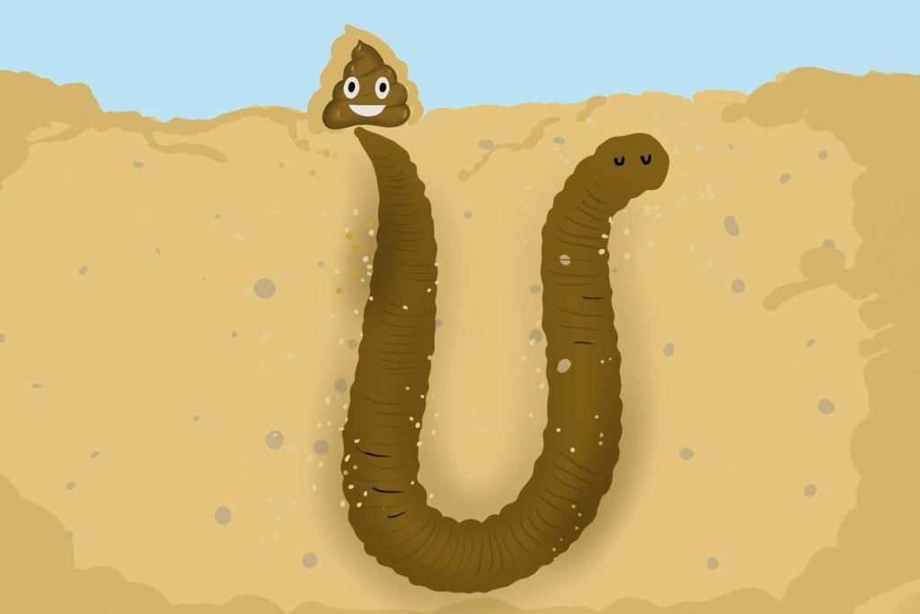 A surprisingly detailed look at the physics of a lugworm’s poop