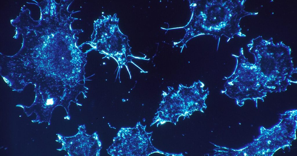 ‘Unusual Cluster’ of Rare Child Cancer Cases Triggers Calls for Investigation * The Gateway Pundit * by Michael Schwarz, The Western Journal