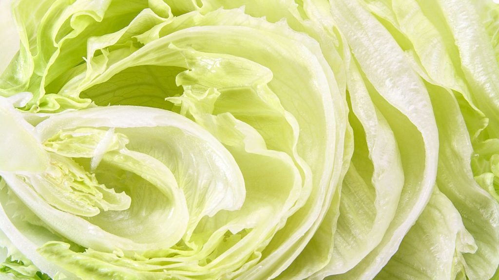 Cyclospora outbreak: FDA says it made a ‘false positive.’ Taylor Farms lettuce products are still being recalled