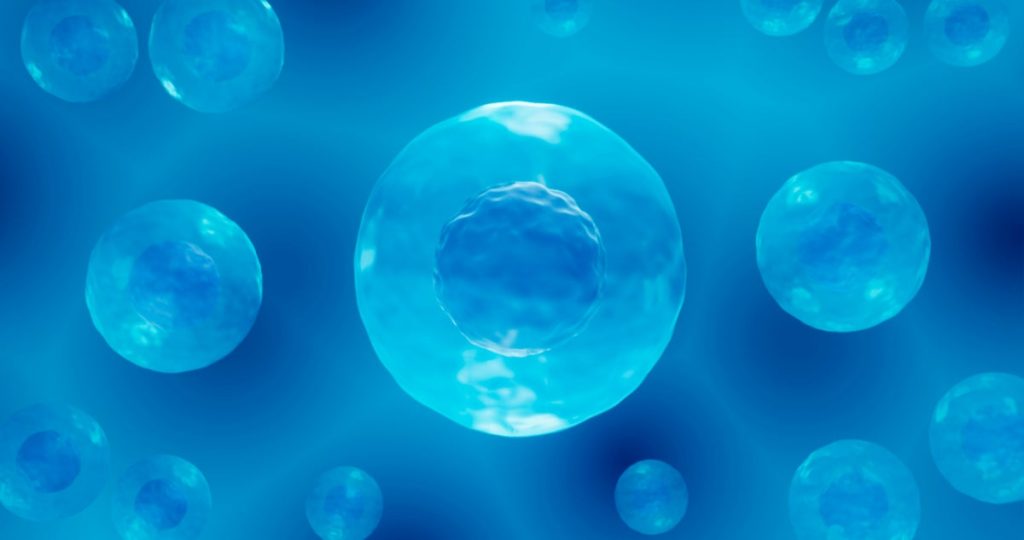 Did scientists just create synthetic life?