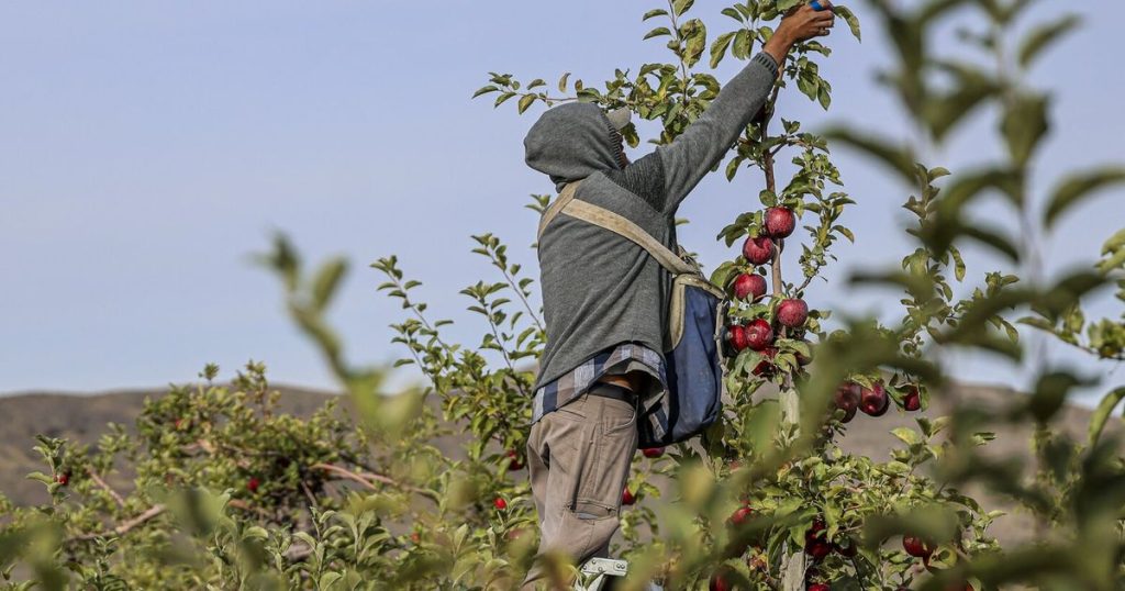WA is apple country. Let’s do what we can to preserve it