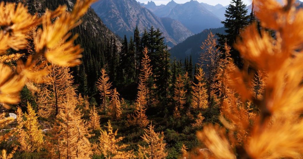 Lift Roadless Rule, give Forest Service flexibility in fire prevention