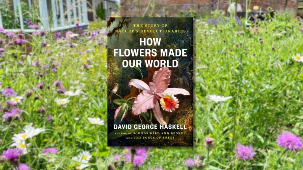 How flowers shaped the world as we know it