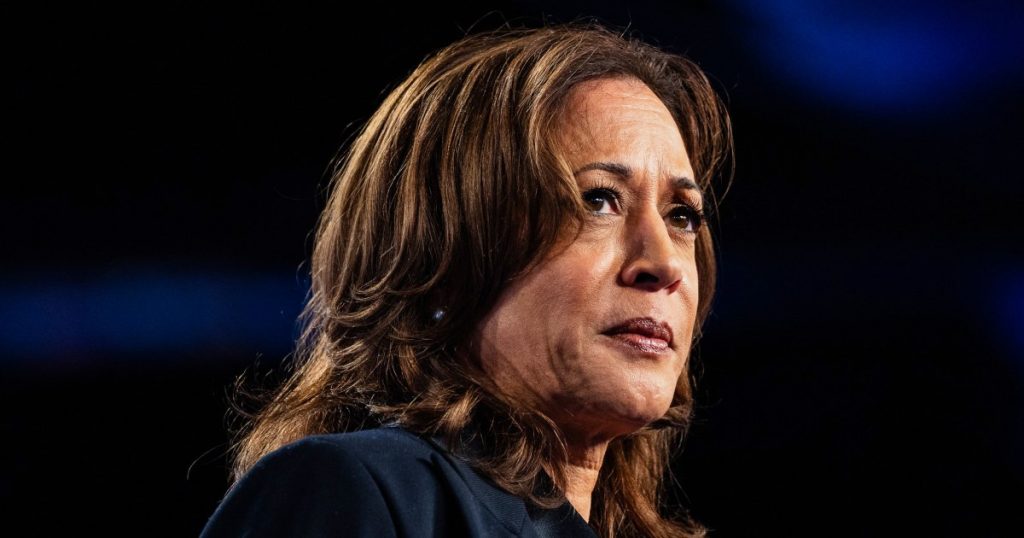Alleged trespasser stopped outside Kamala Harris’ Malibu home