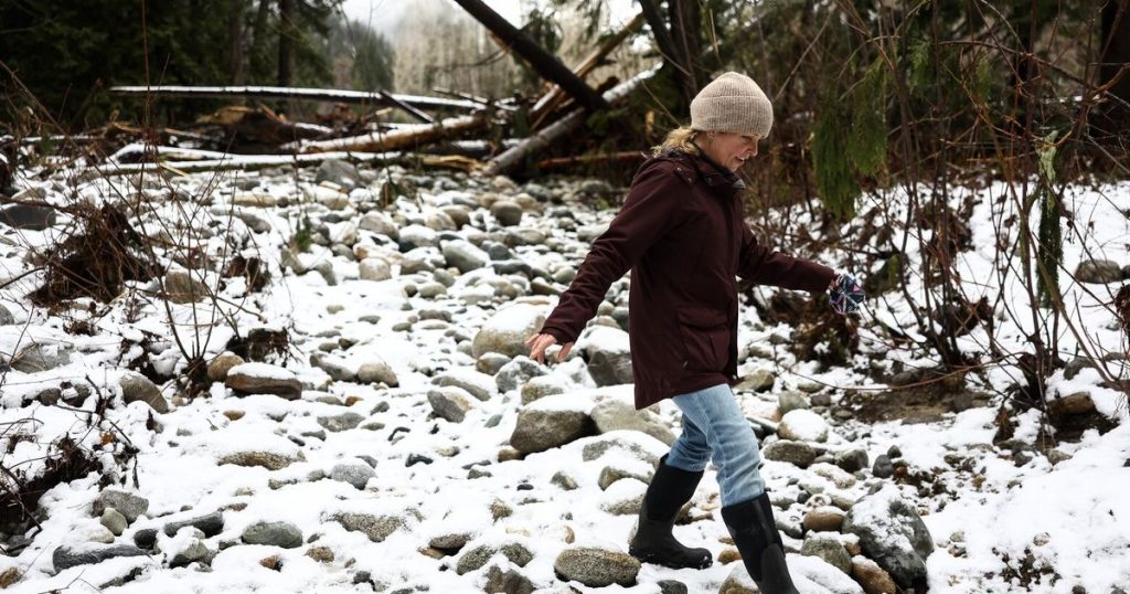 Keep bulldozers out of the Stehekin River