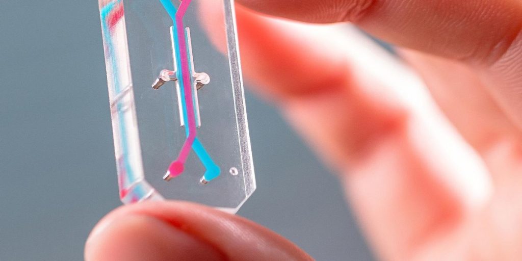 Alternatives to Animal Testing Are Finally Taking Off